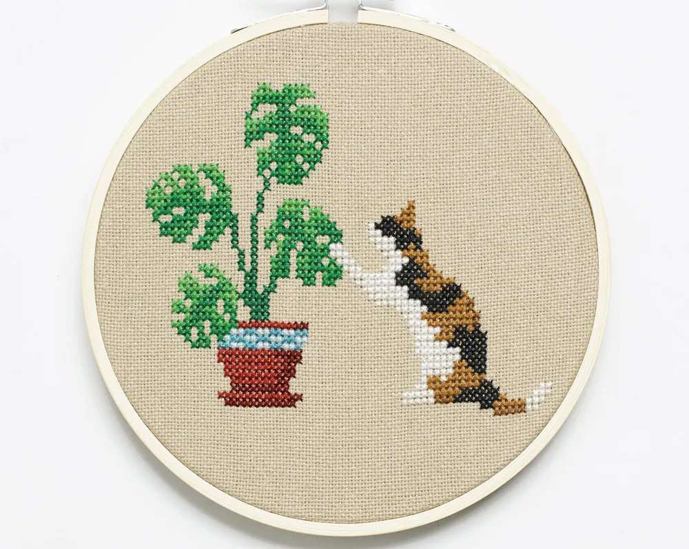 Thumbnail for Cat and Monstera Plant