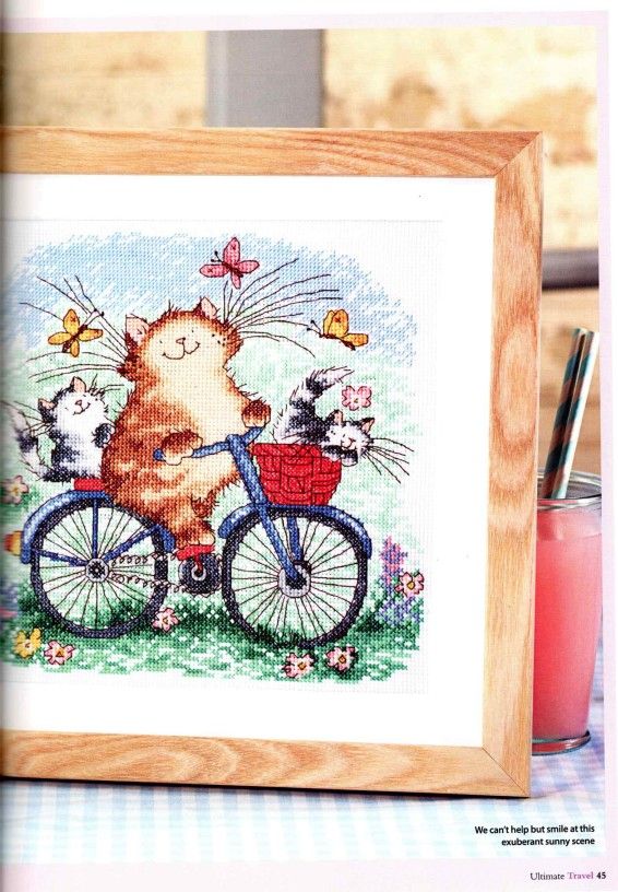 Cycling in Summer