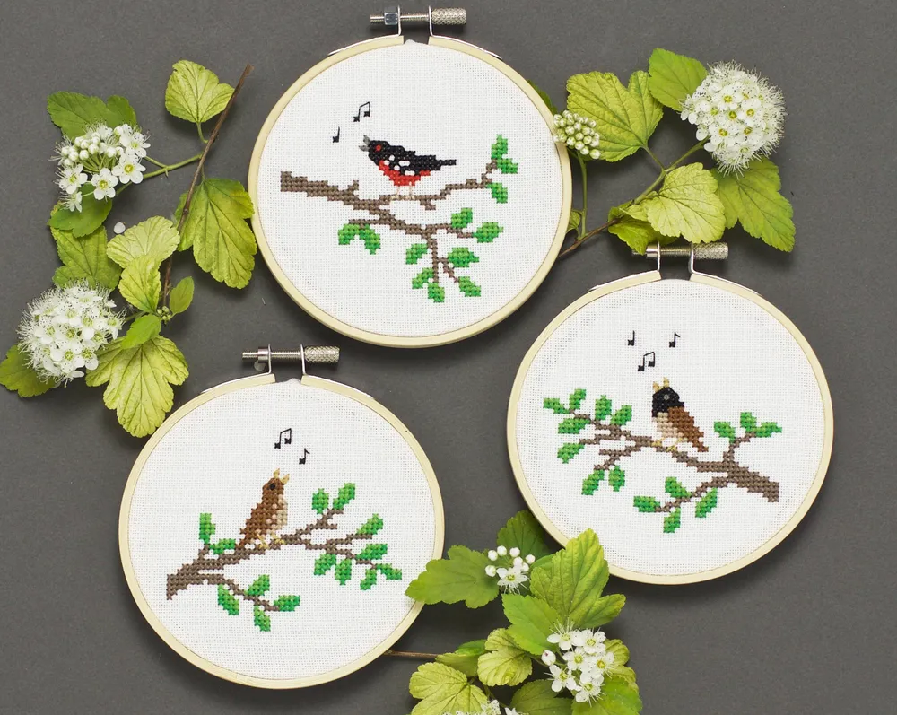 Song Birds
