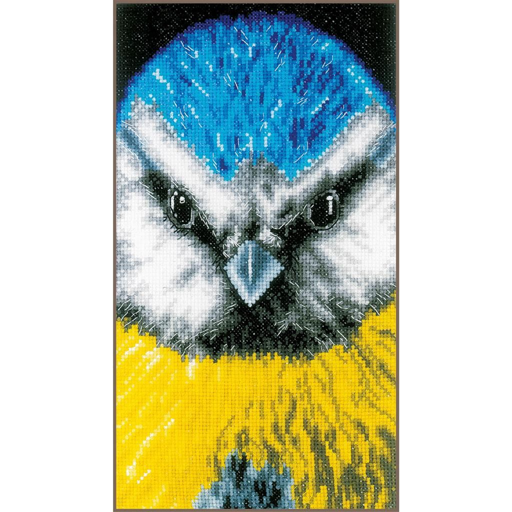 Thumbnail for Close-Up Blue Tit