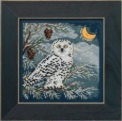 Thumbnail for MH 14-4304 Snowy Owl