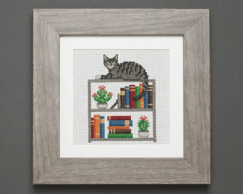 Cat, Books and Cacti