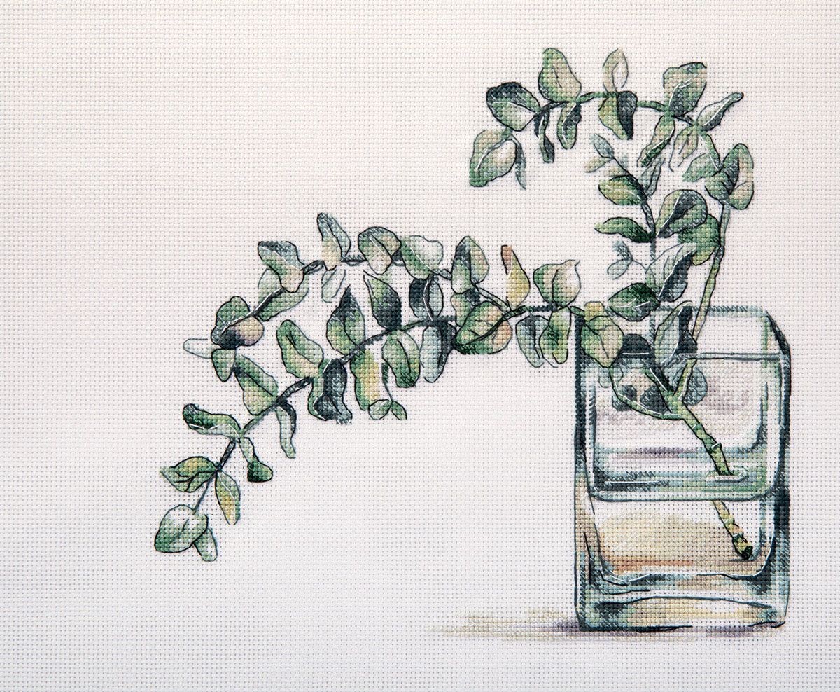 Eucalyptus