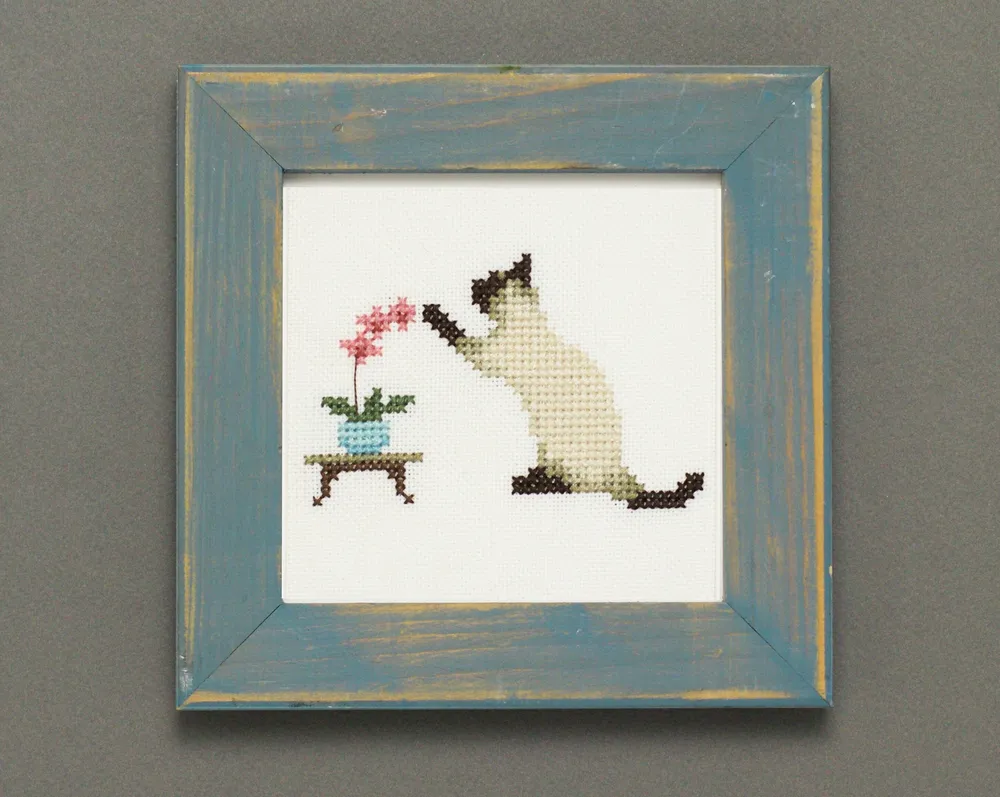 Cat and Orchid