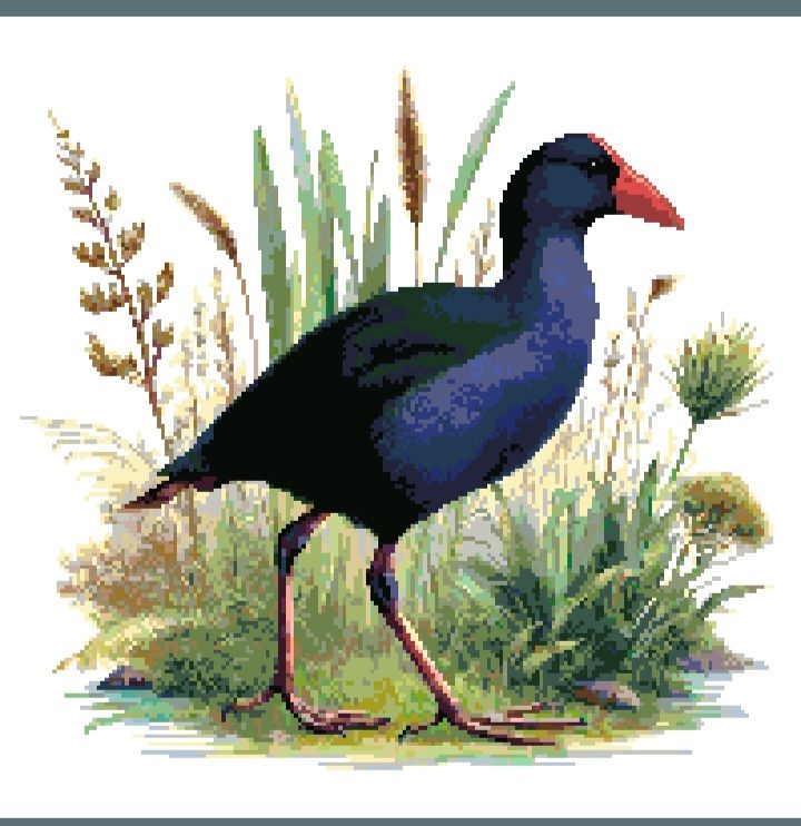 Thumbnail for Pukeko