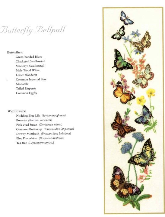 Main pattern image