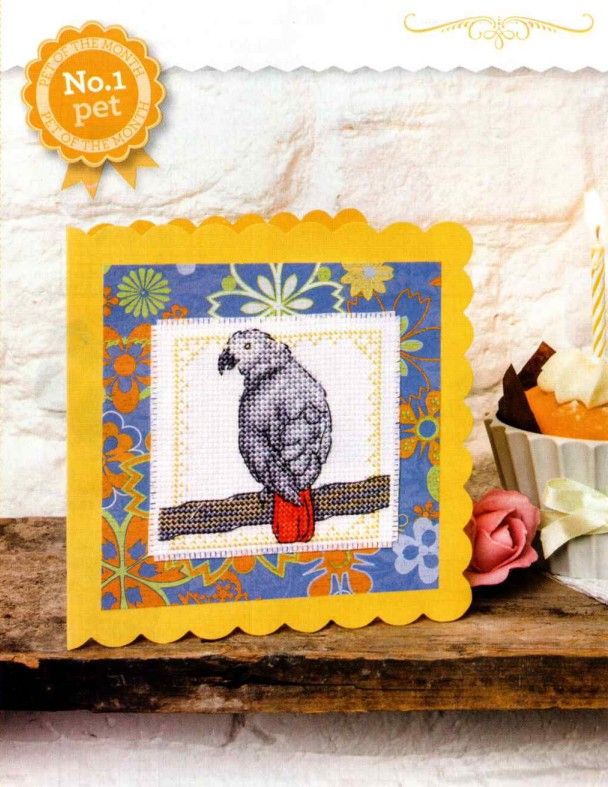 African Grey Parrot - Pet of the Month