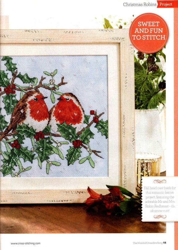Thumbnail for Christmas Robins
