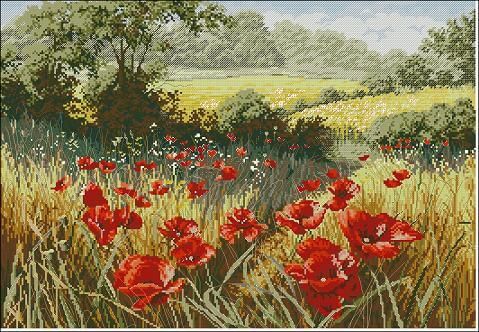 Poppy Field