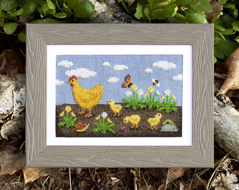 Chicken Adventures
