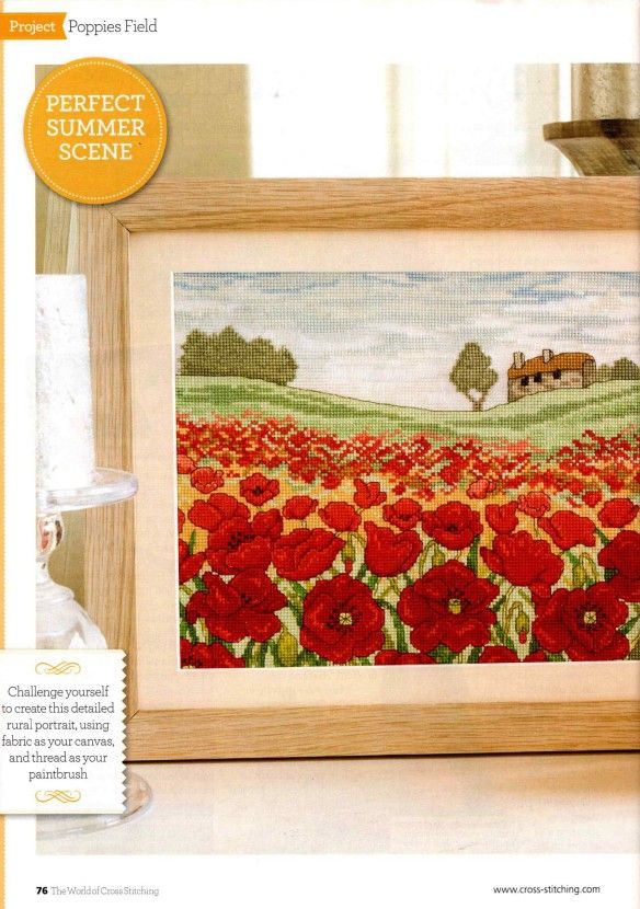 Poppy Field