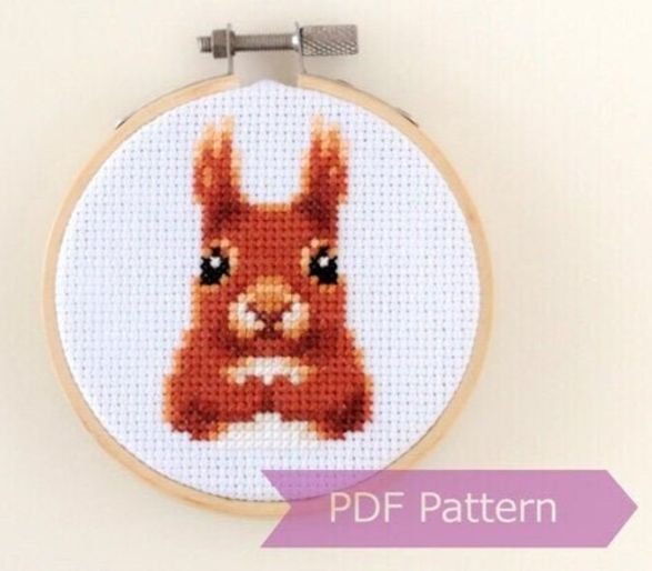 Thumbnail for Red Squirrel