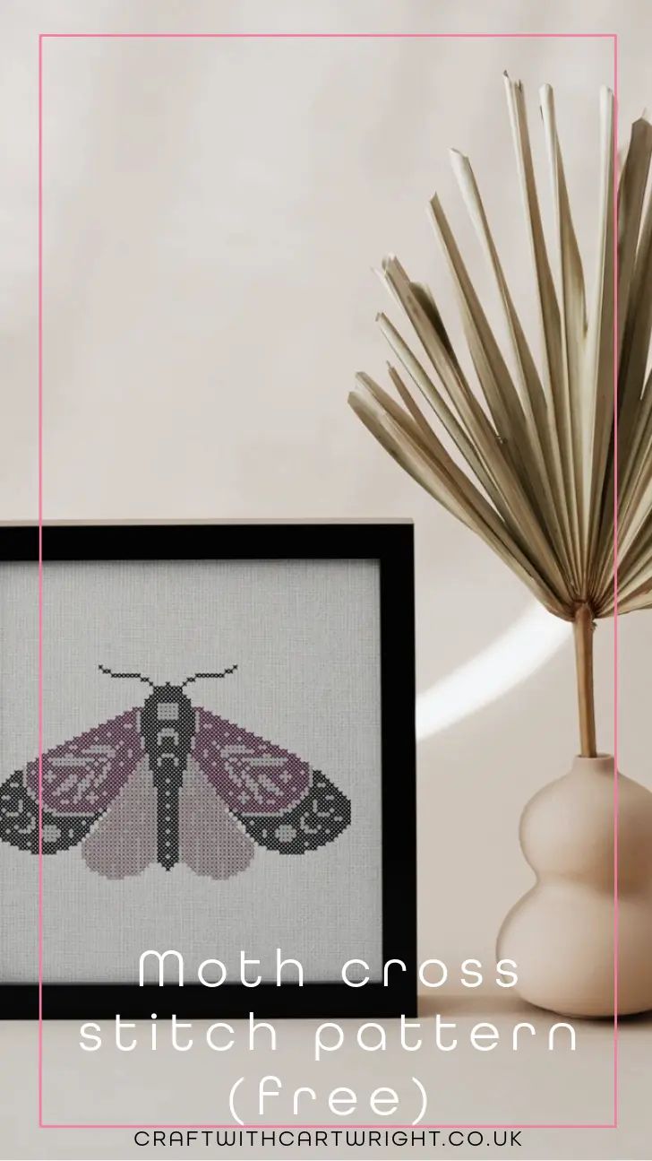 Thumbnail for Moth