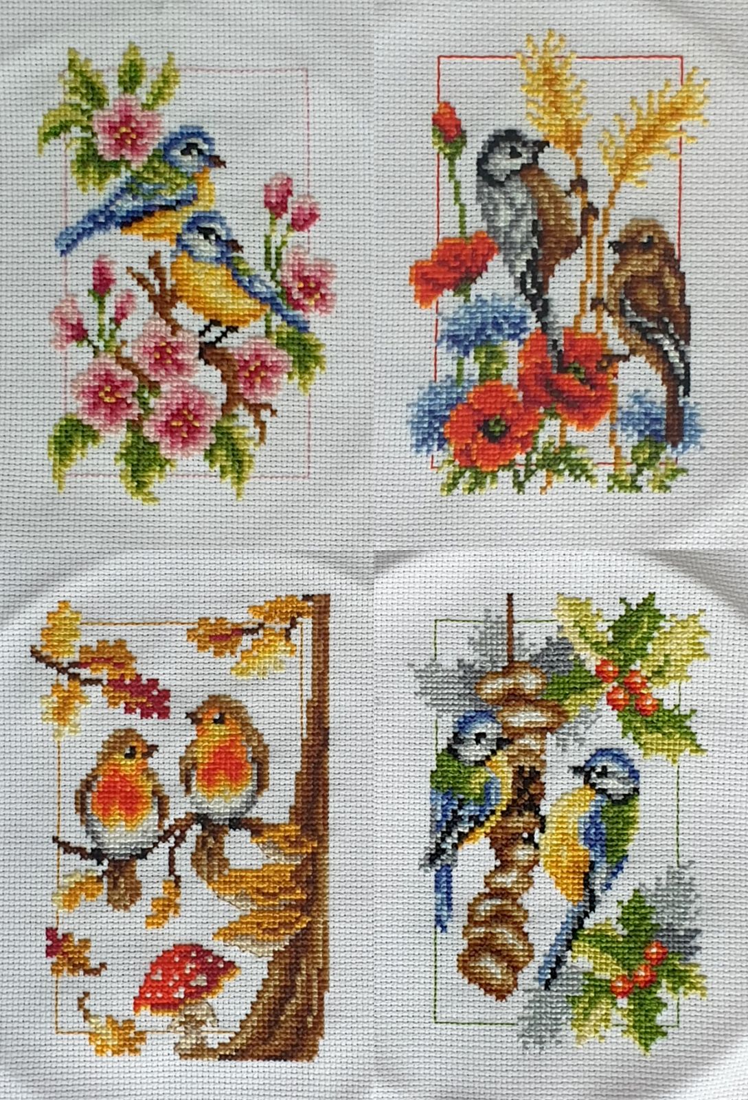 Four seasons kits