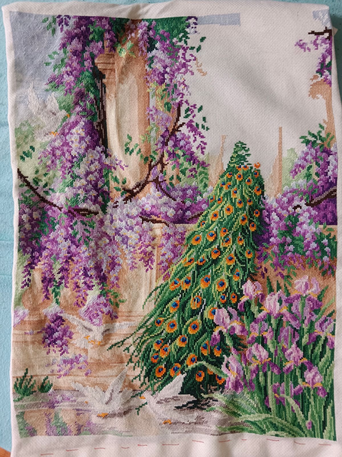 Peacock