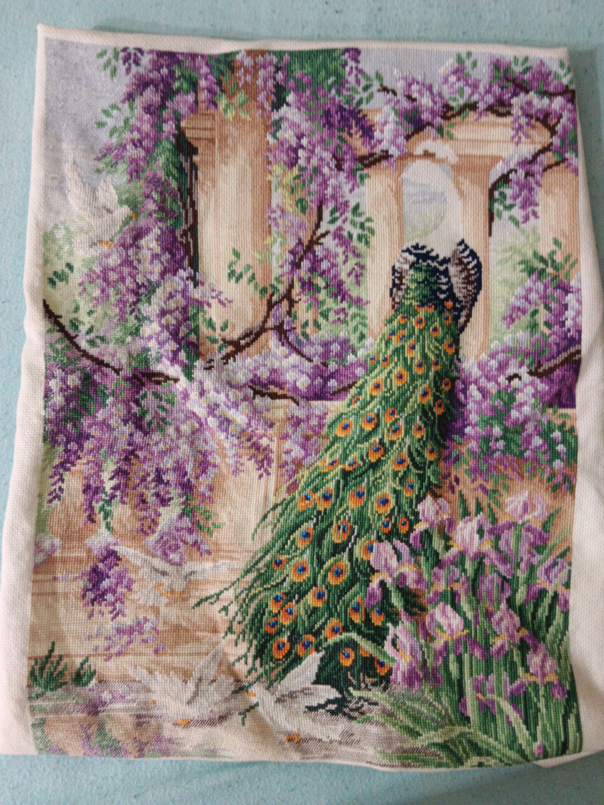 Peacock