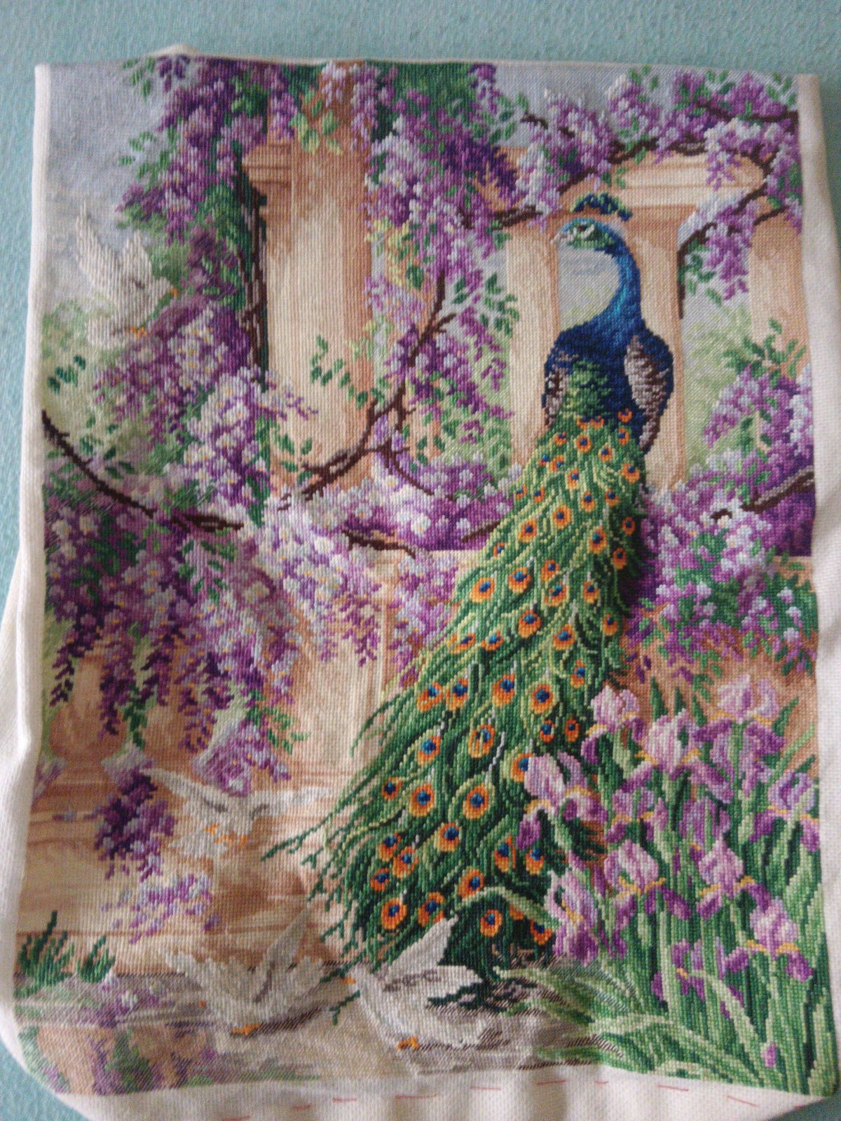 Peacock