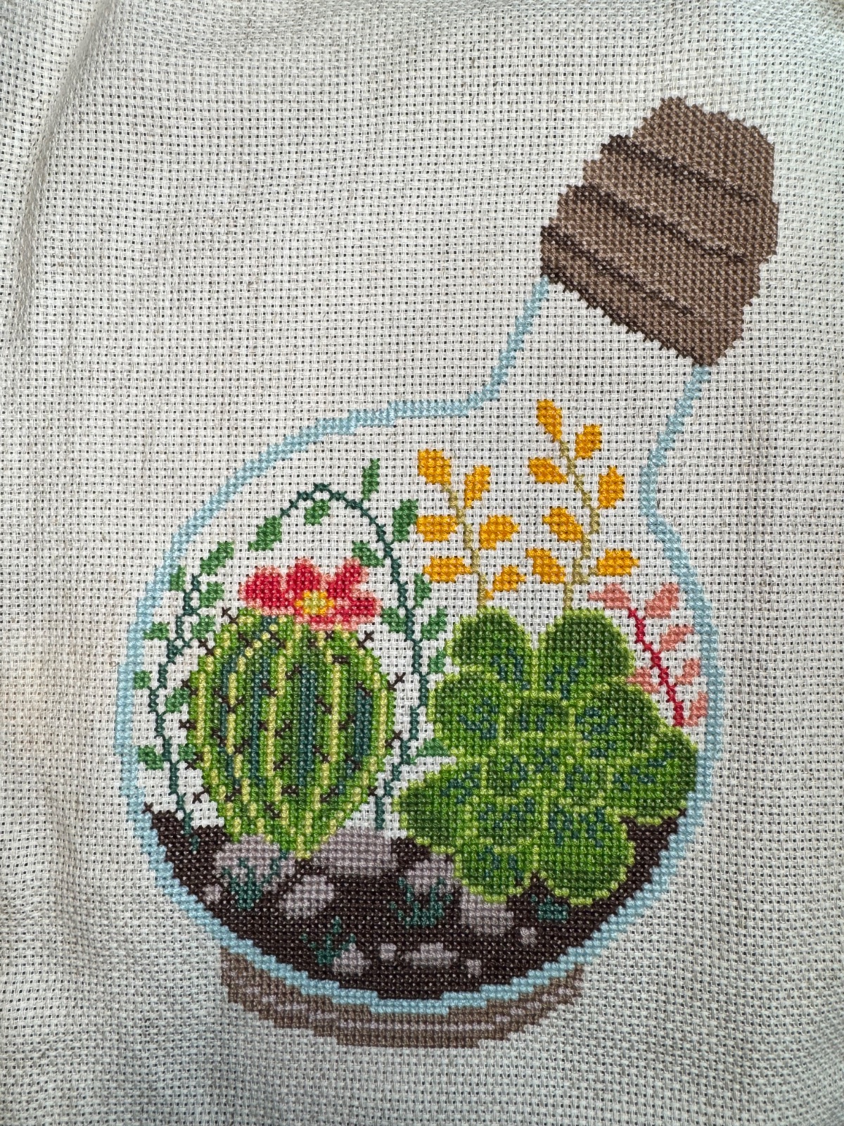 Succulent and Cactus