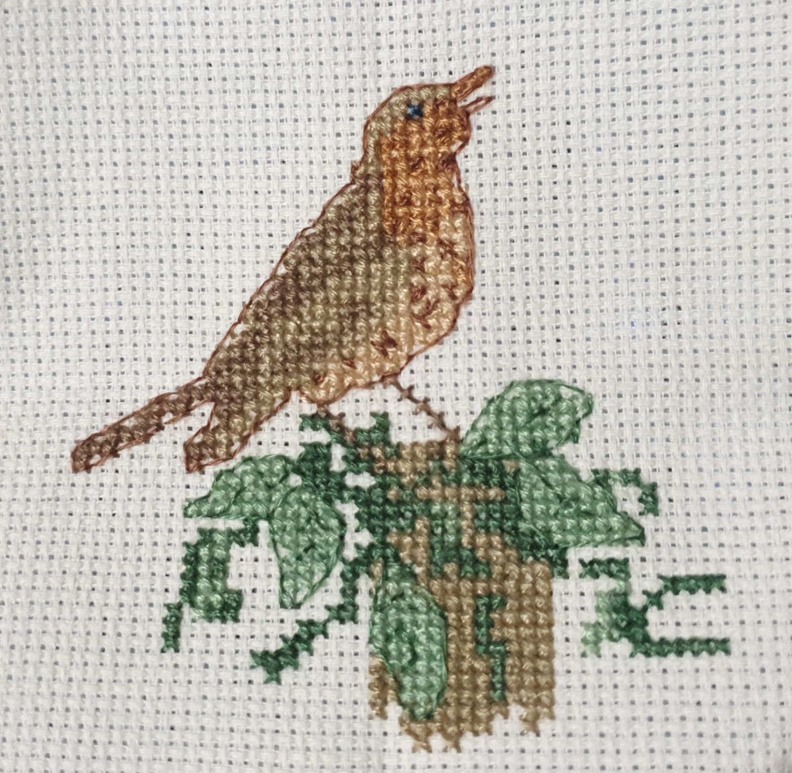 Thrush kit