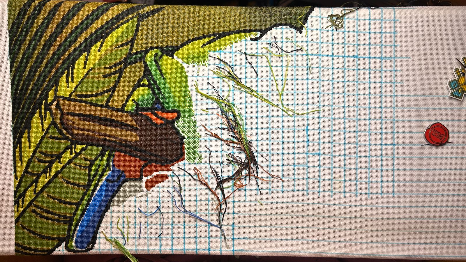 Tree Frog