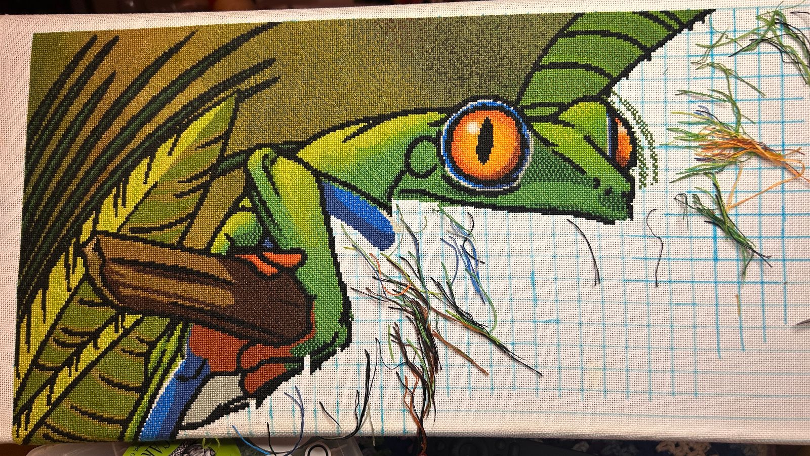 Tree Frog
