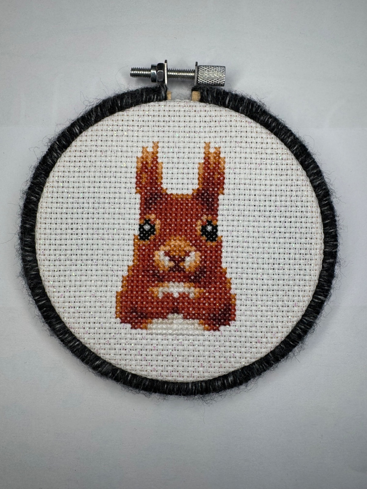Red Squirrel