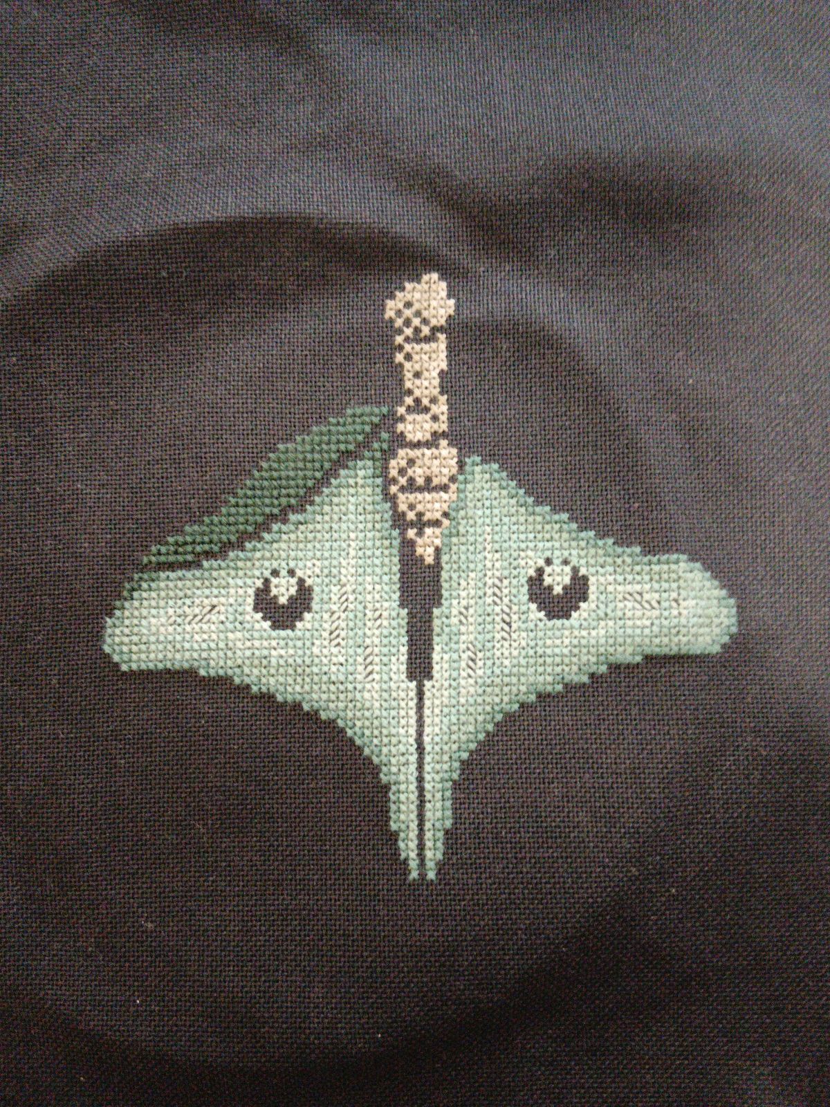 Luna Moth
