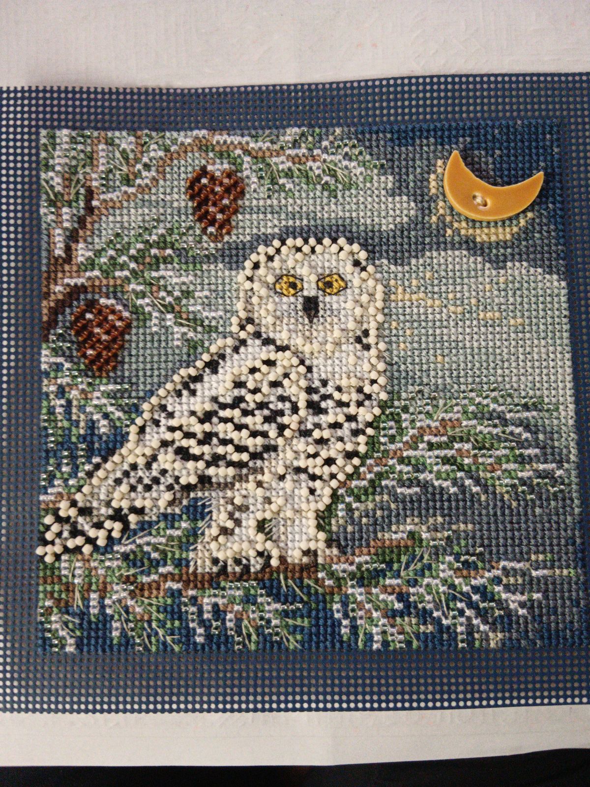 Snowy Owl
